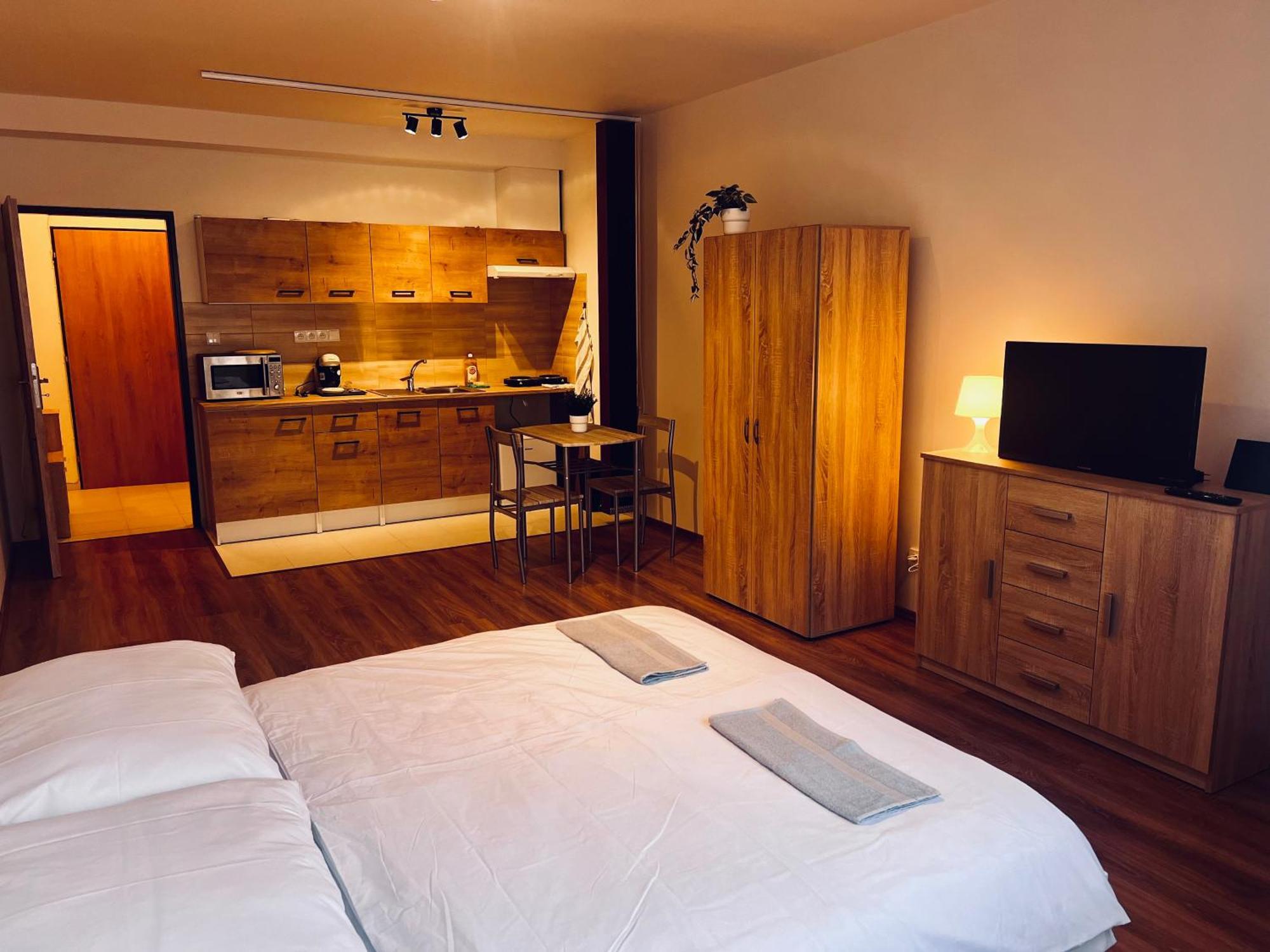 Apartment Libusina *